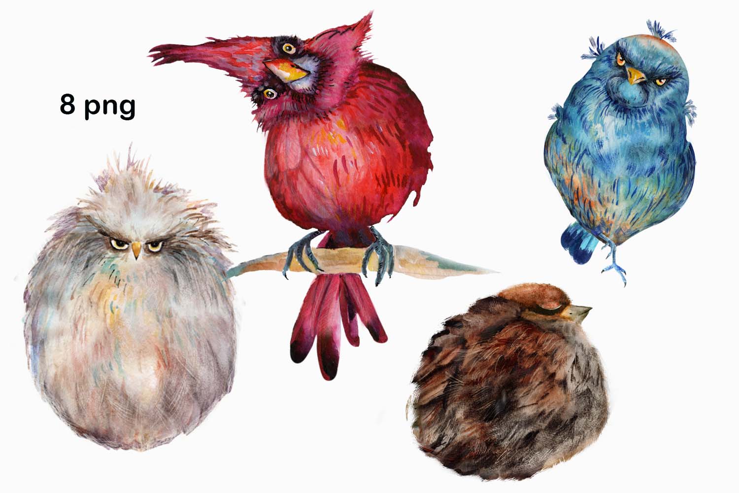 Watercolor Funny Birds PNG details.