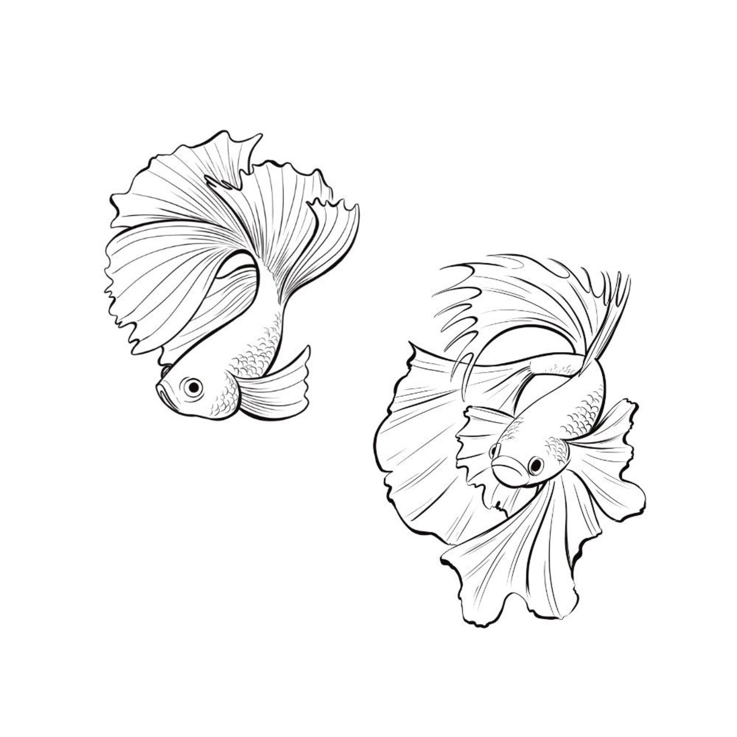 Detailed Fish Line art Clipart Black and White png svg cover.
