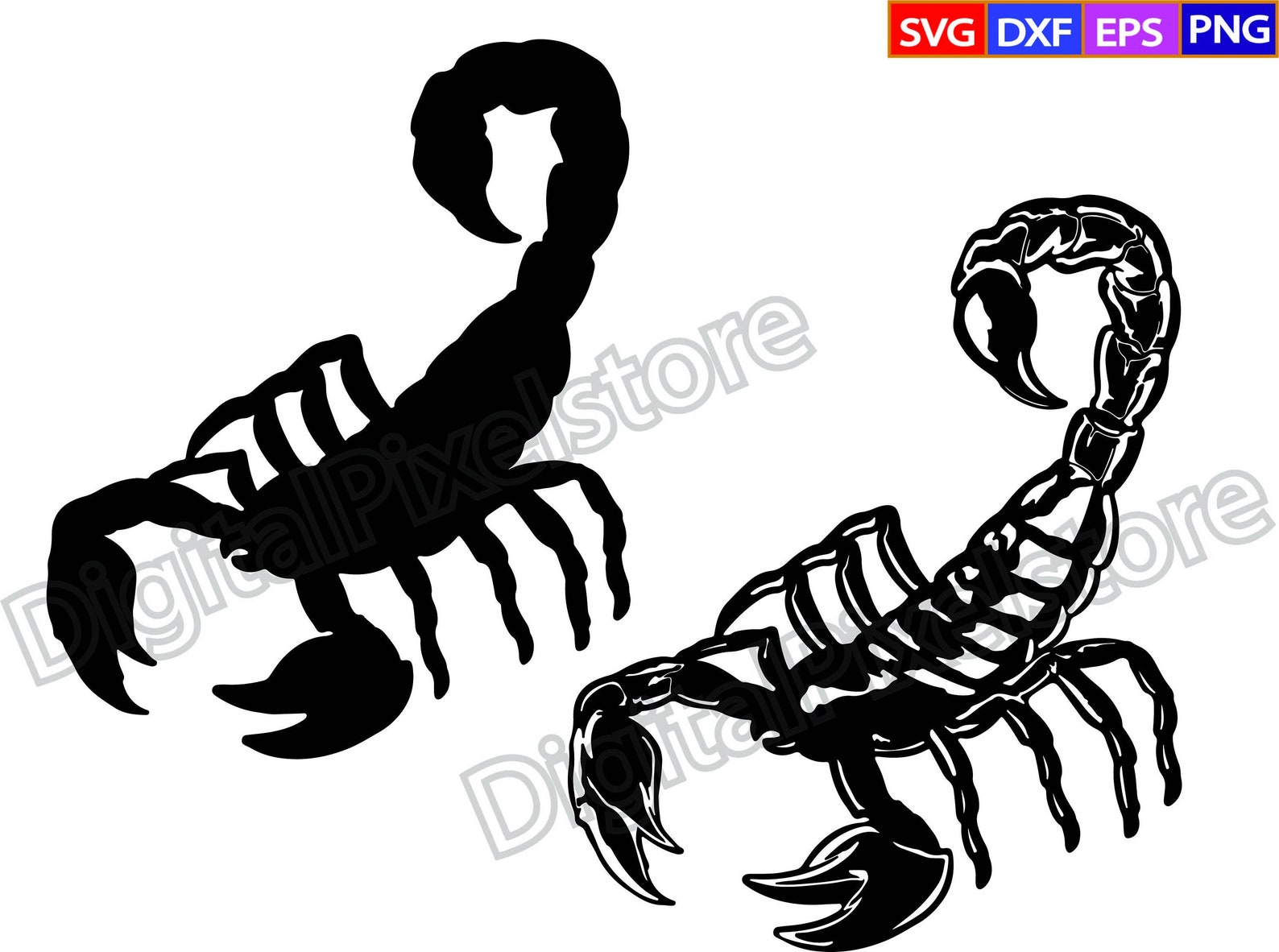 Black and white drawing of a scorpion.