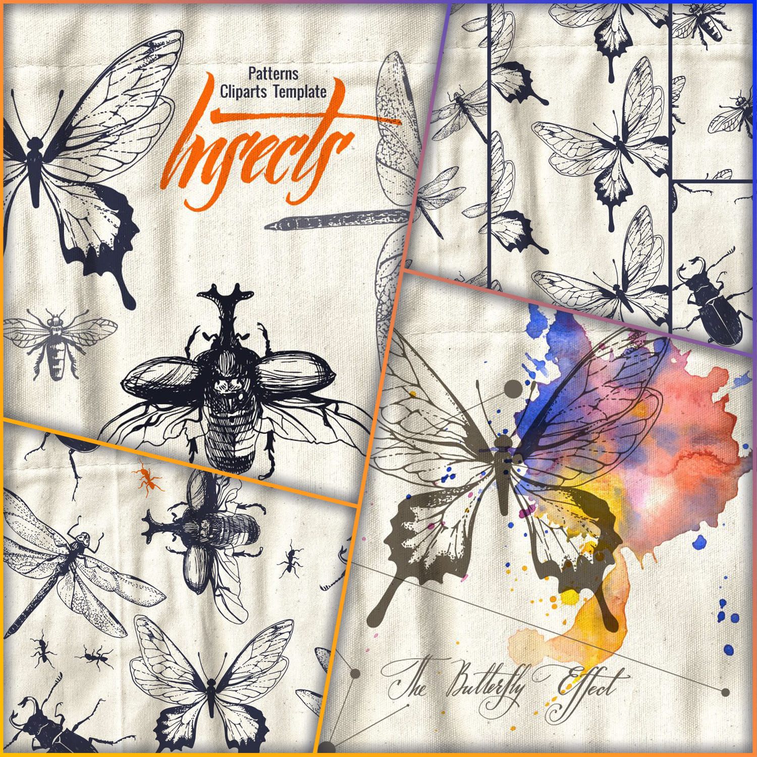Insects in patterns and cliparts cover.