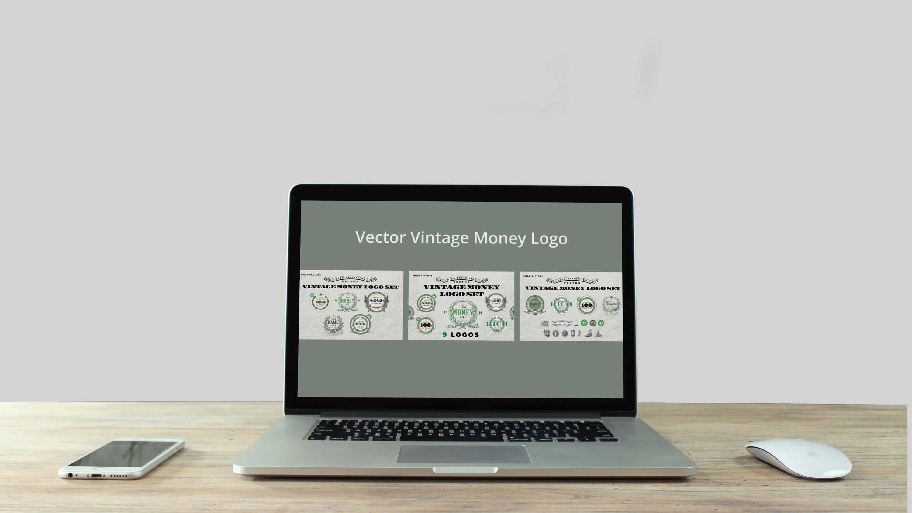 Vector Vintage Money Logo Set - laptop.