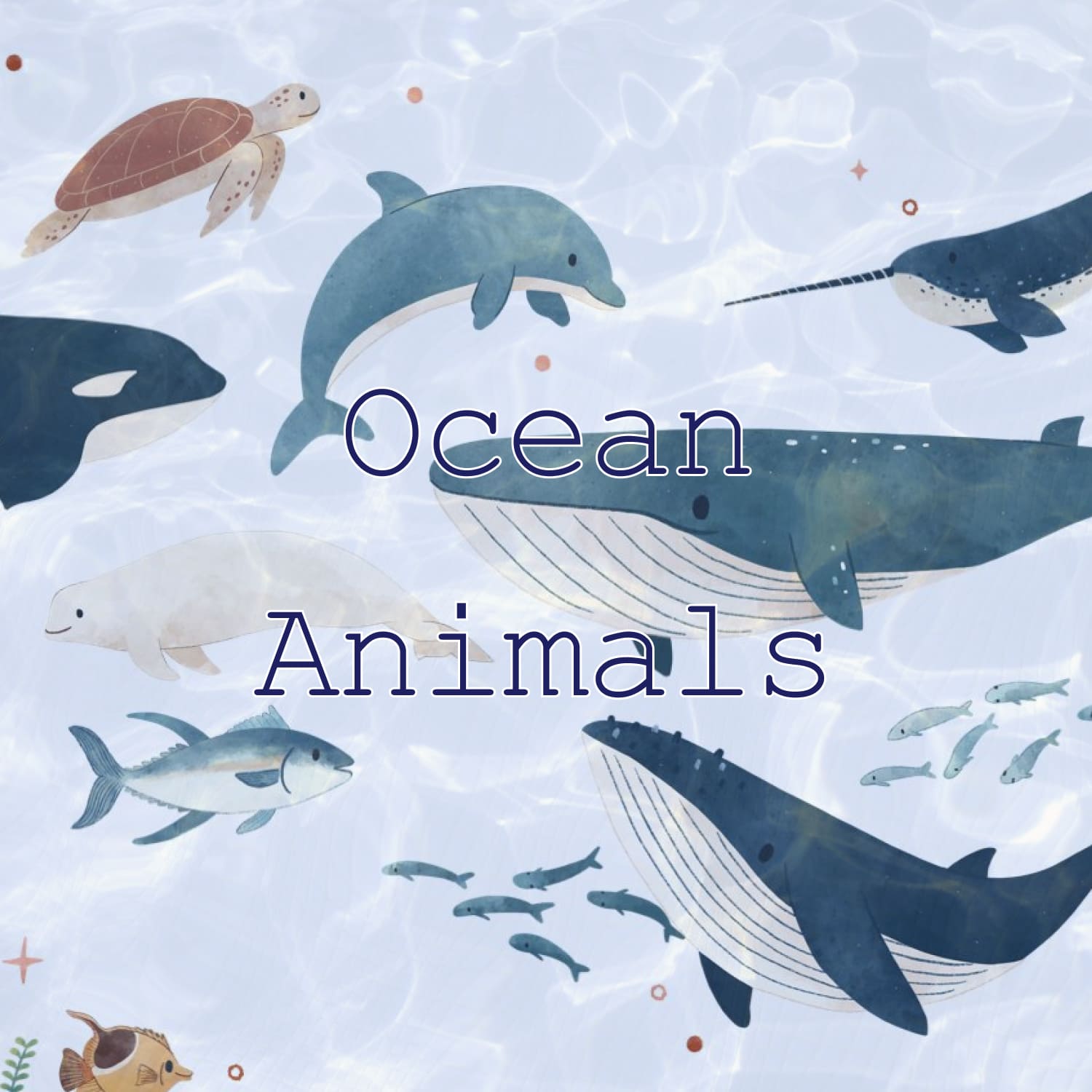 Ocean Animals image preview.