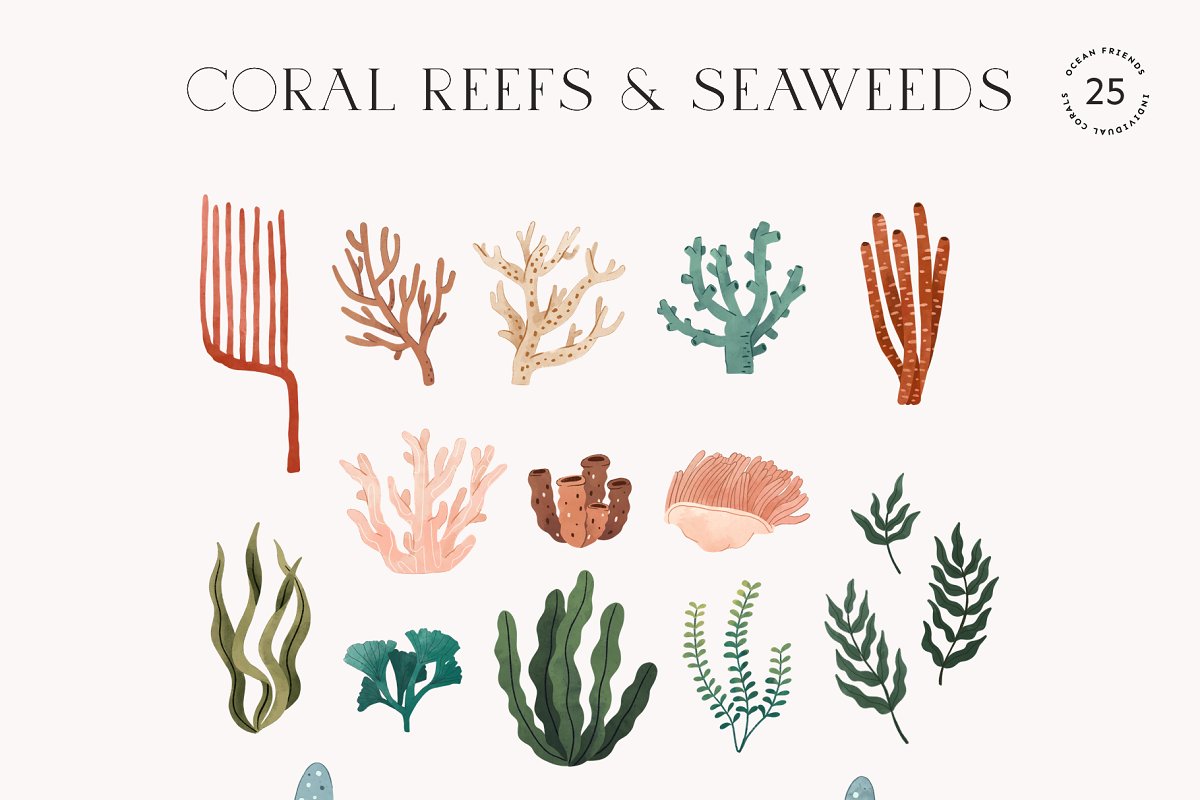 This collection includes a big amount of coral reefs and seaweeds.
