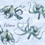 Watercolor png octopus clip art.