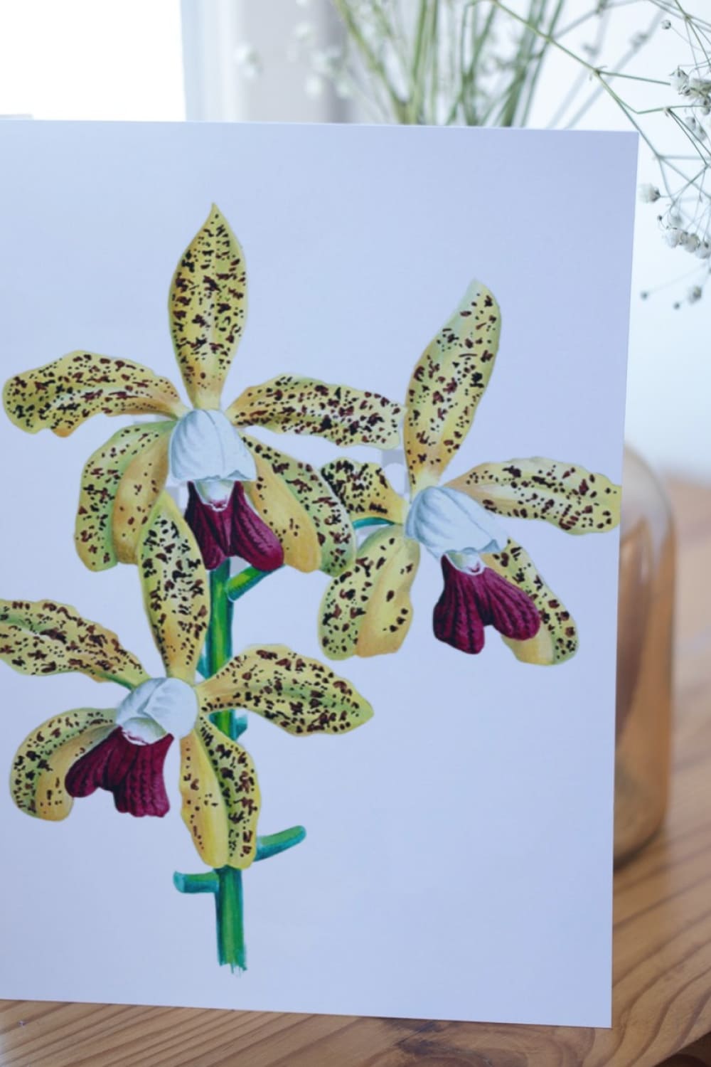 The handpicked orchid have been carefully color corrected to look fresh and new.