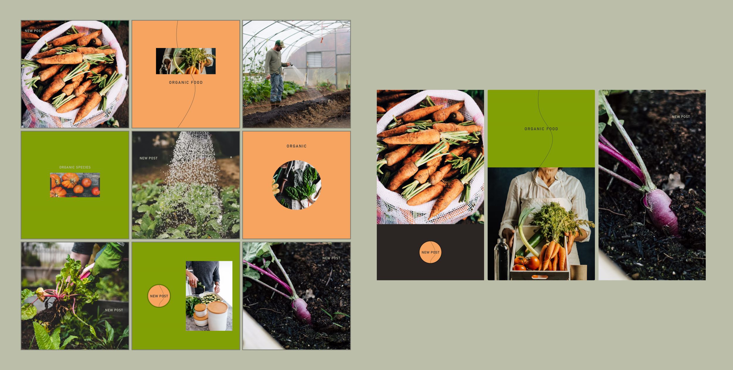 organic story Organic Food Instagram Template.