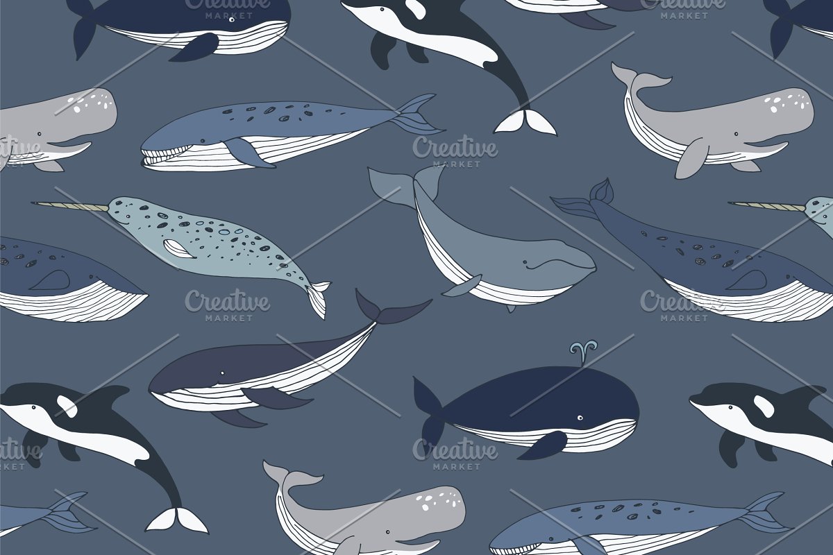 This set includes new patterns with sharks.