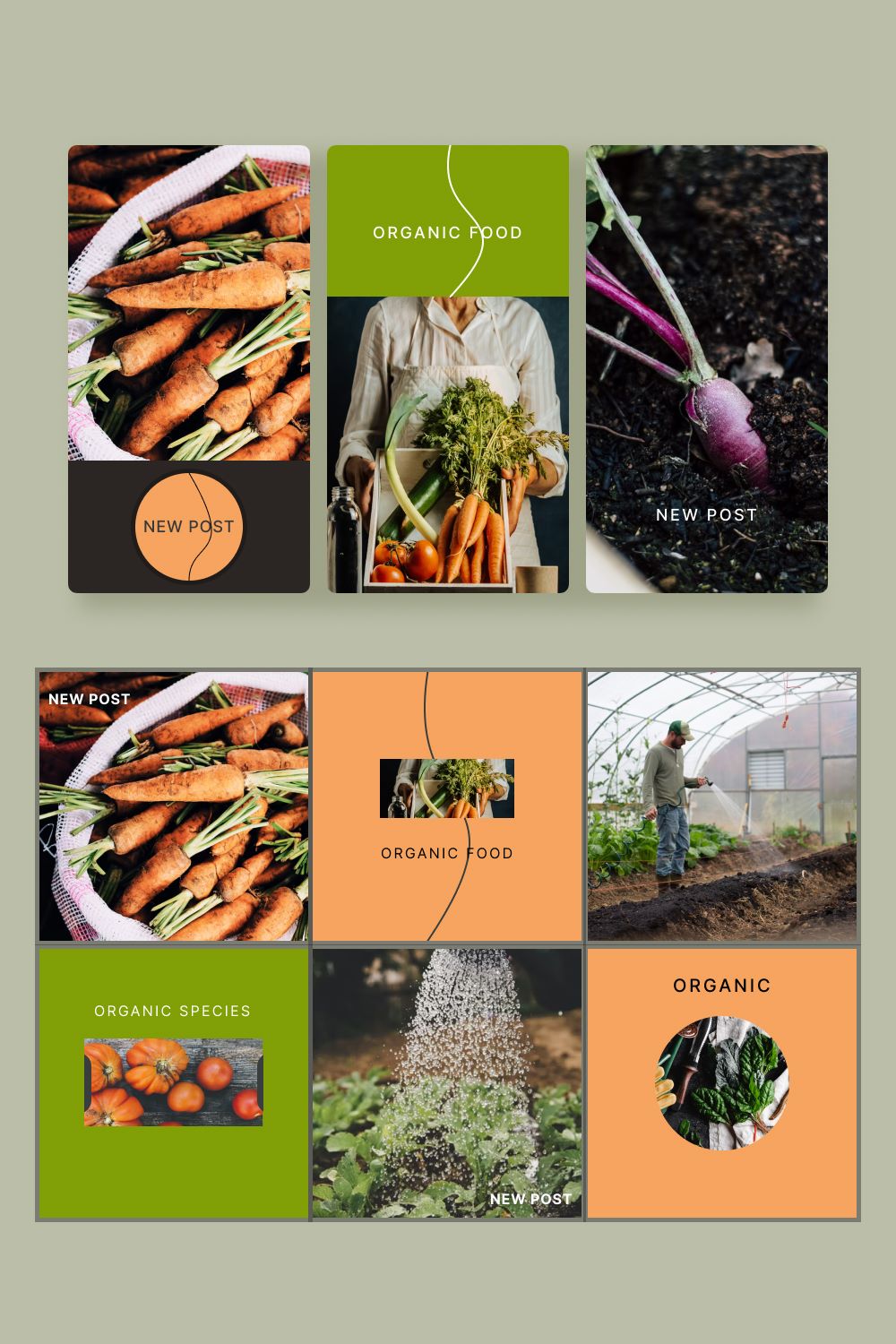 pinterest Organic Food Instagram Template.