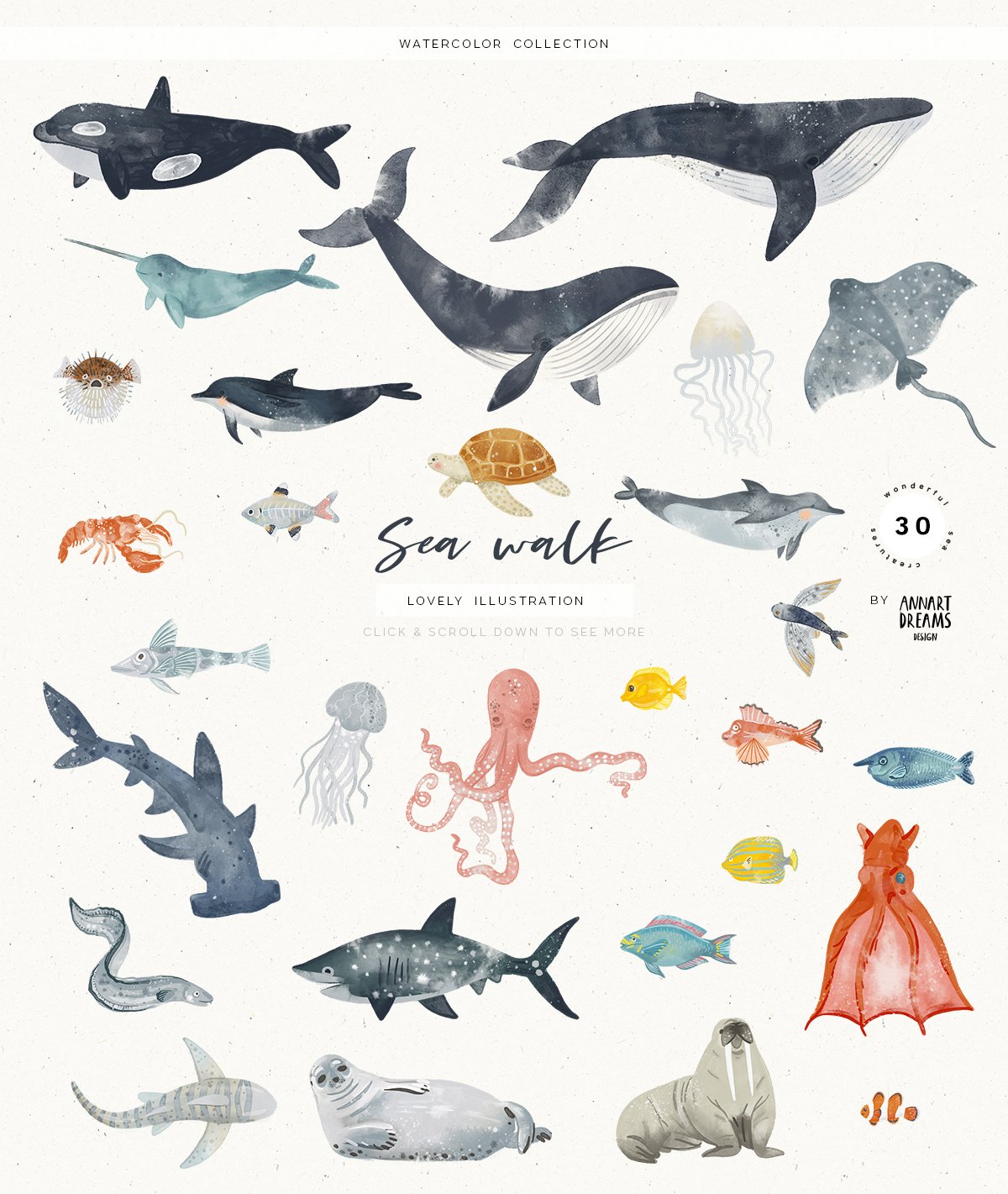 The cute illustrations and patterns with funny sea features.