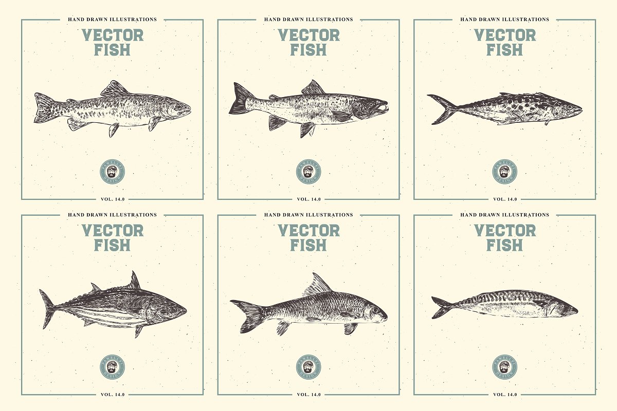 Vector Fish Illustrations Bundle Volume 14 contains 21 breath-taking illustrations of fishes