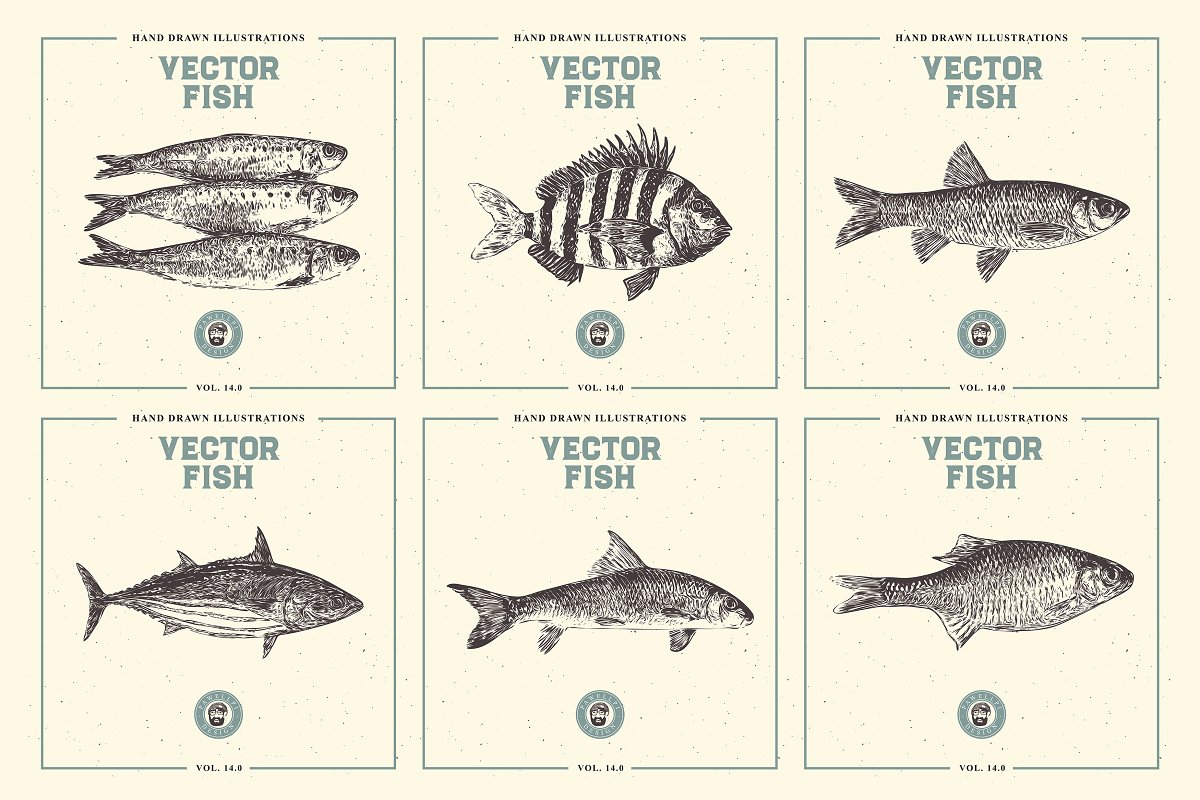 This is a handsome collection of different kinds of fishes.