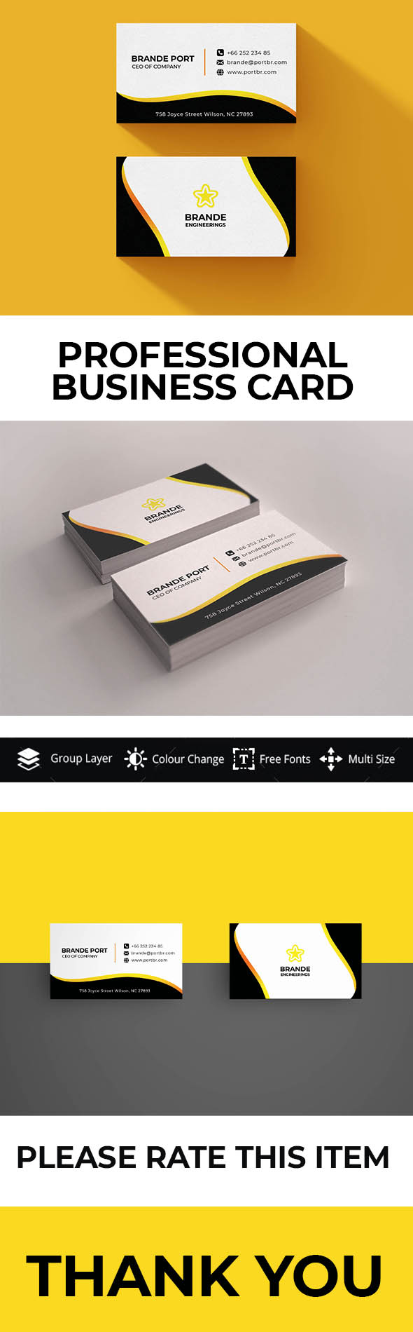 preview presentation Professional Business Card.