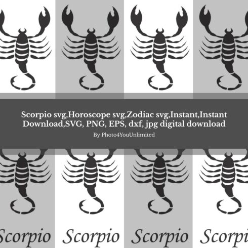 Scorpion scorpion scorpion scorpion scorpion scorpion scorpion scorpion scorpion scorpion scorpion scorpion scorpion scorpion scorpion scorpion.