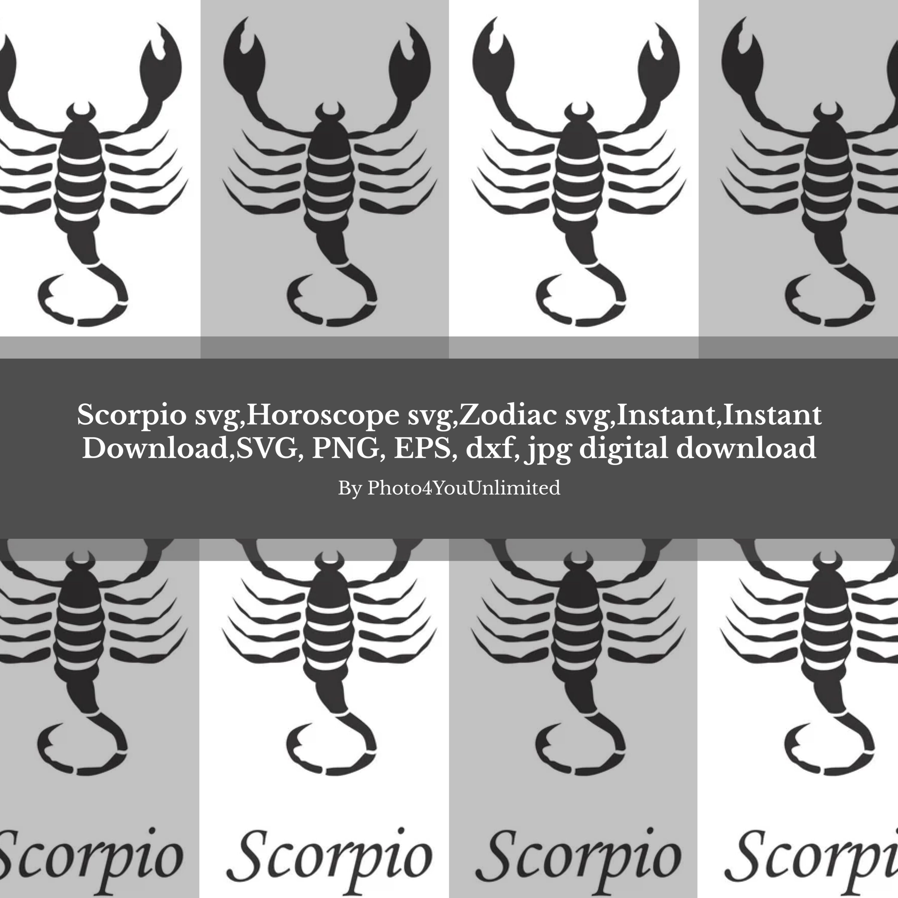 Scorpion scorpion scorpion scorpion scorpion scorpion scorpion scorpion scorpion scorpion scorpion scorpion scorpion scorpion scorpion scorpion.