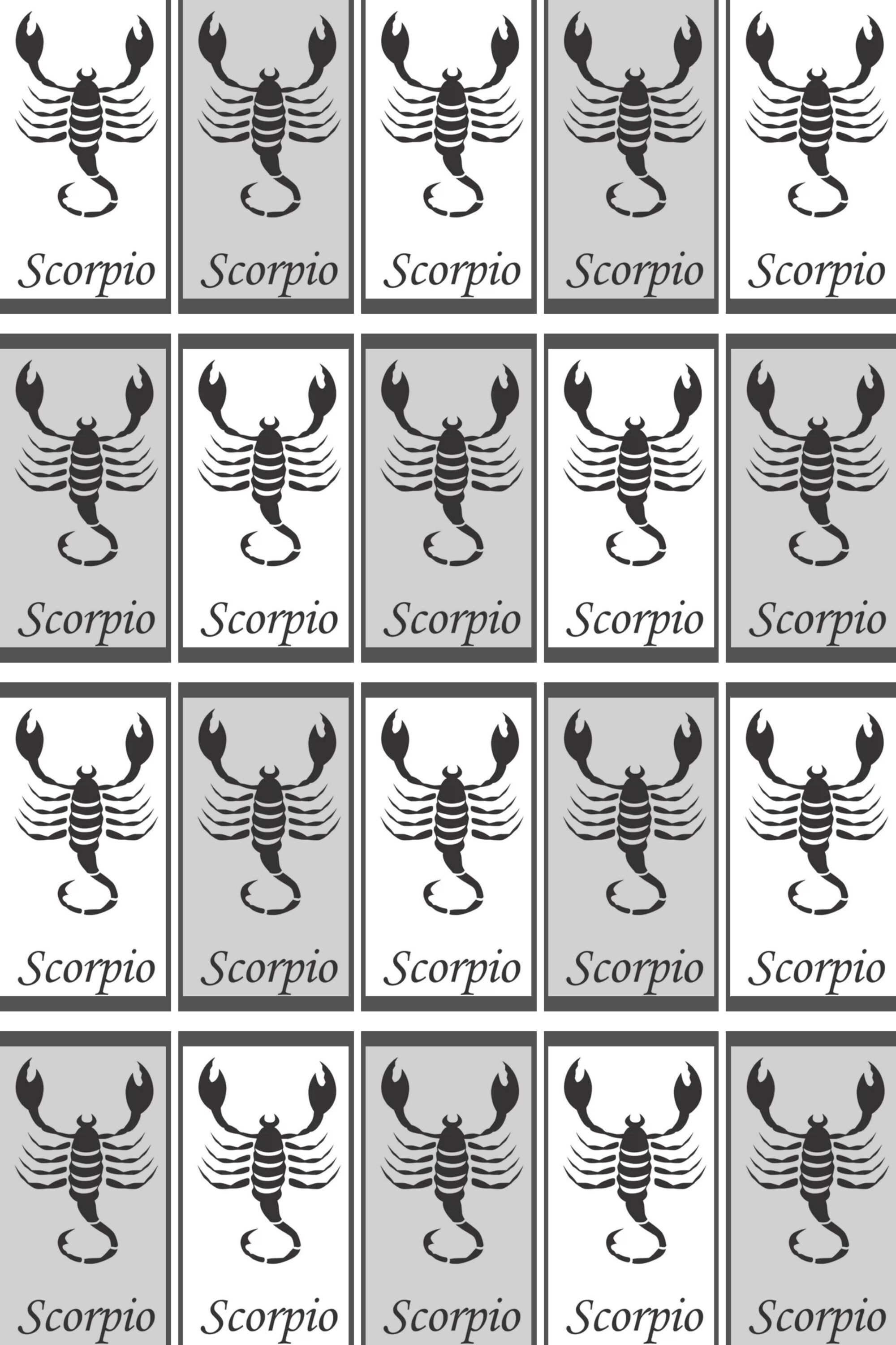 The scorpion scorpion scorpion scorpion scorpion scorpion scorpion scorpion scorpion scorpion scorpion scorpion scorpion scorpion scorpion.