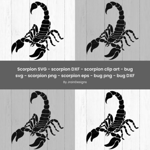 Scorpion SVG - main image preview.