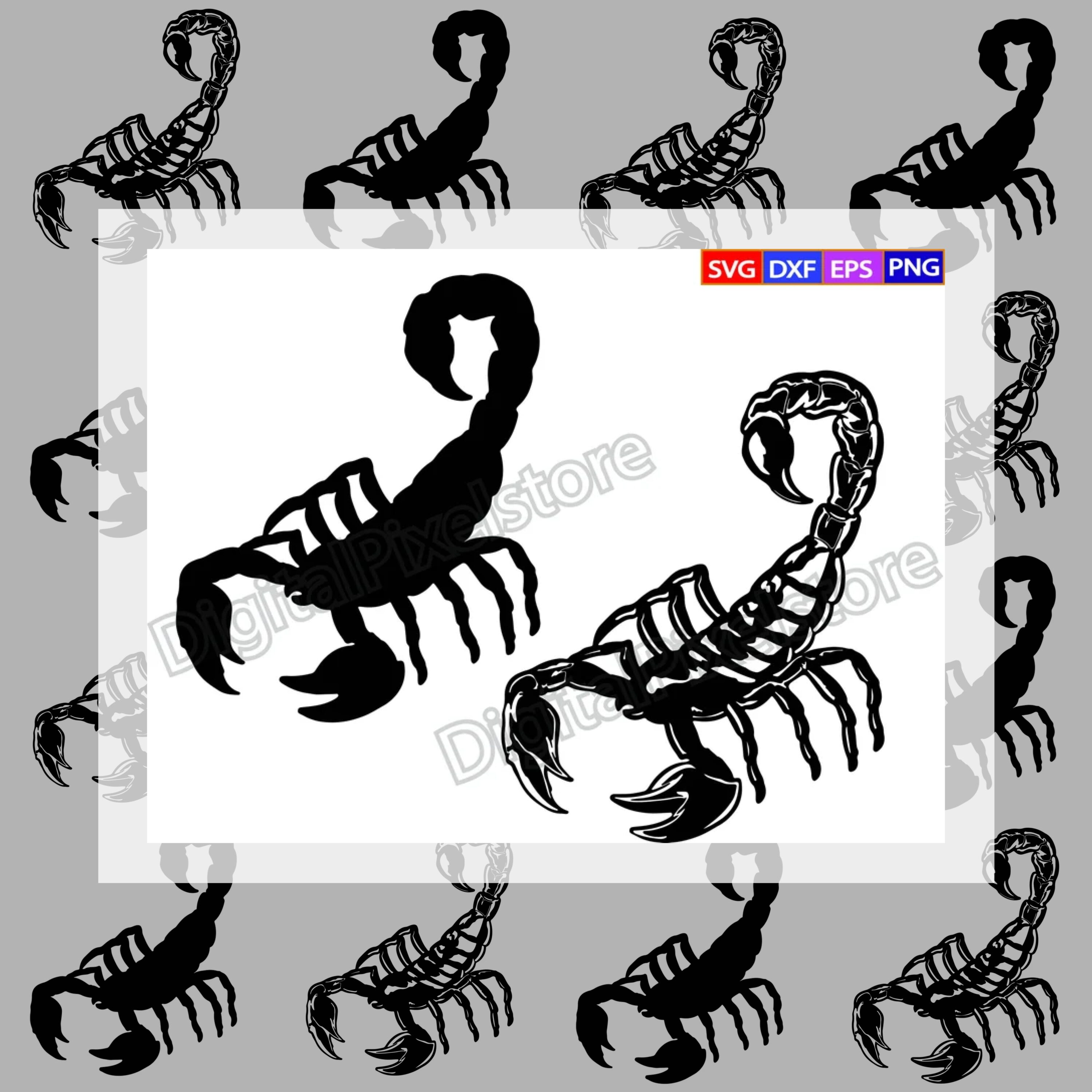 Drawing of a scorpion and its shadow.