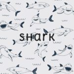 Shark: illustrations set + patterns preview.