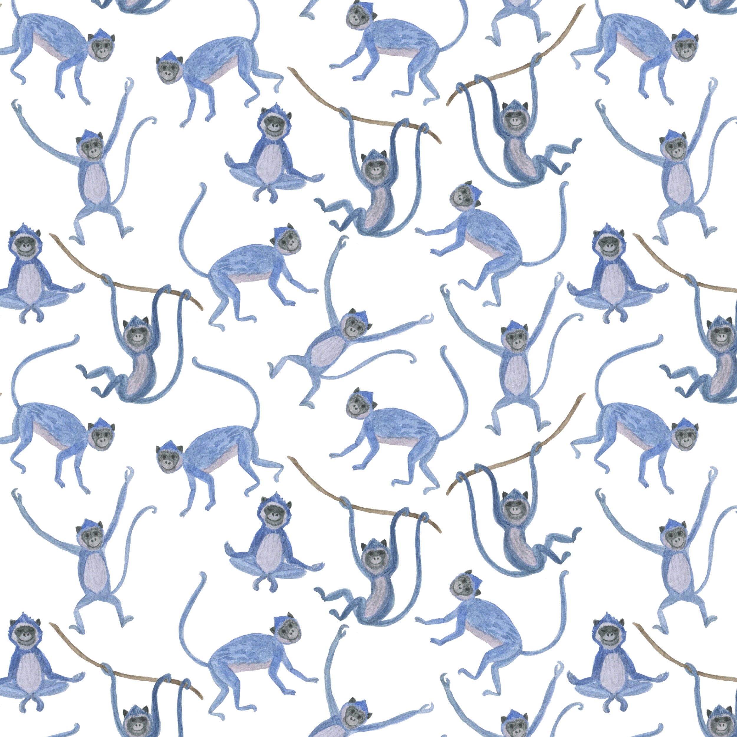Cute small blue monkeys.