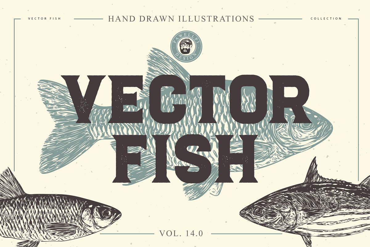 Cover image of Vector Fish Hand Drawn Bundle V.14.0.