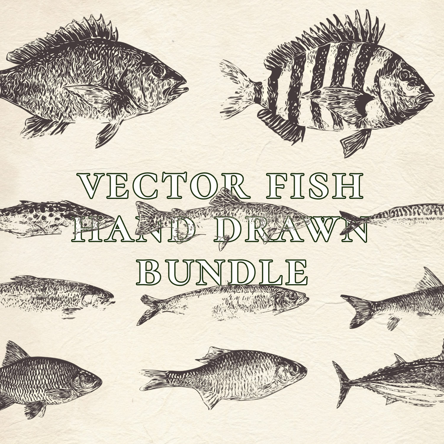 Vector Fish Illustrations Bundle Volume 14 image preview.