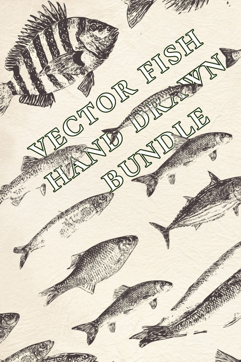 vector fish hand drawn bundle 04