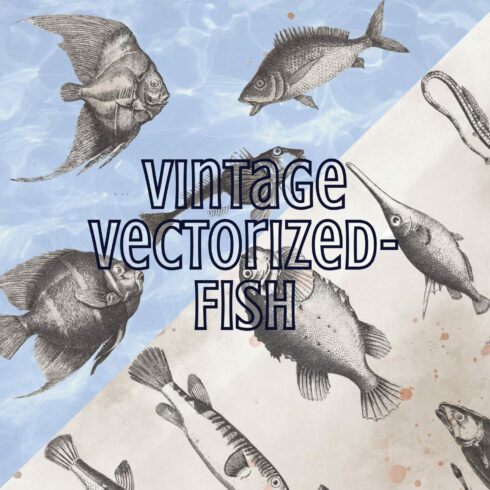 This set consists of 30 images of fish varieties.