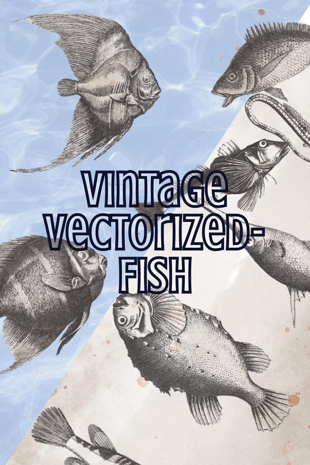 VintageVectorized-Fish Clipart - preview image.