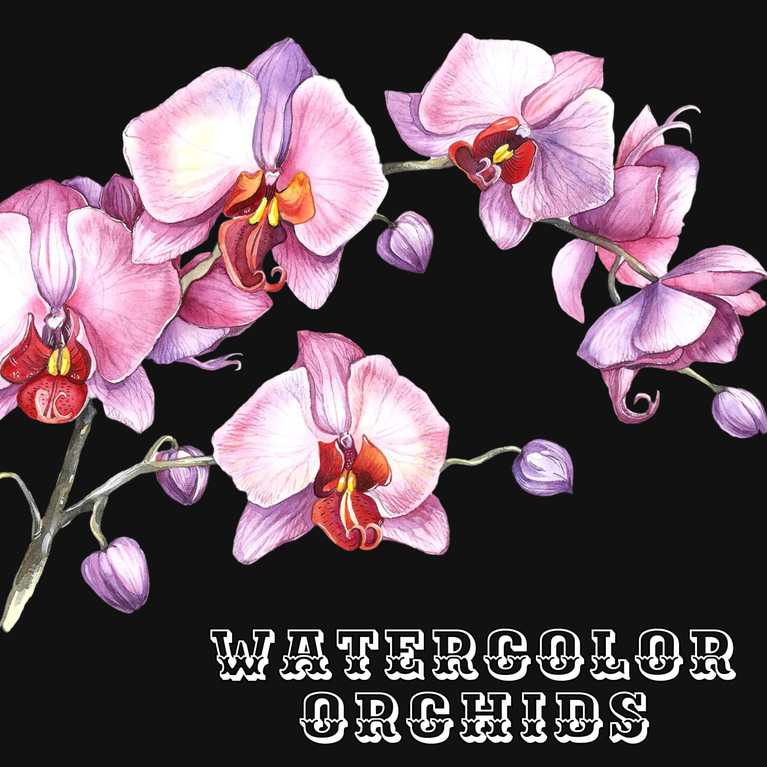 Watercolor Orchids image preview.