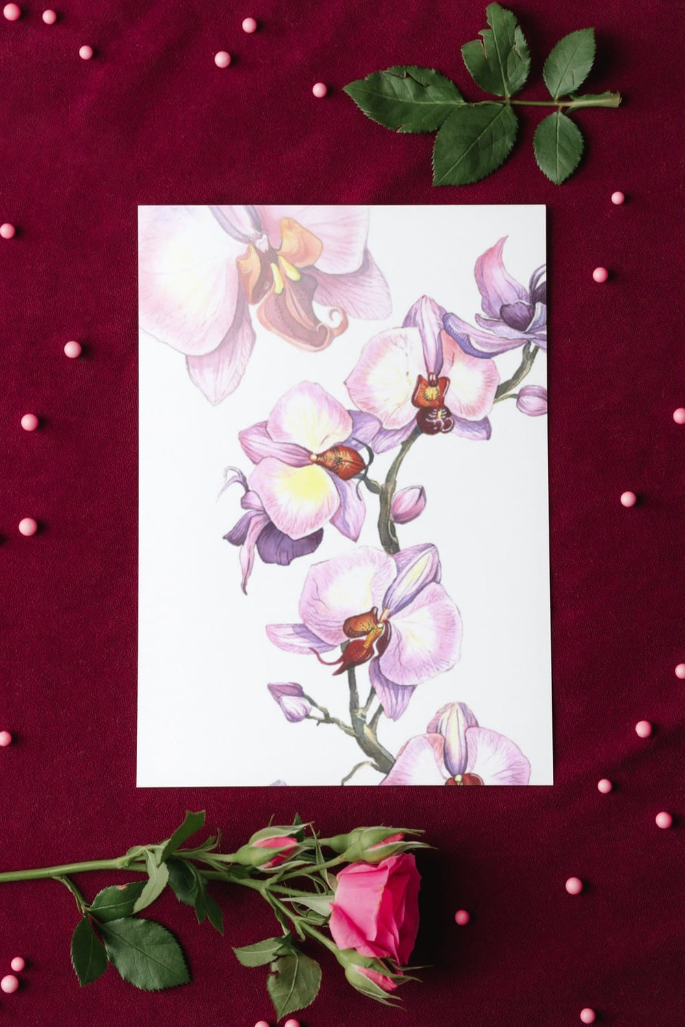 The handpicked orchids have been carefully color corrected to look elegant.