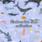 A delicate fine art collection of Sea creatures & Floral underwater plants.