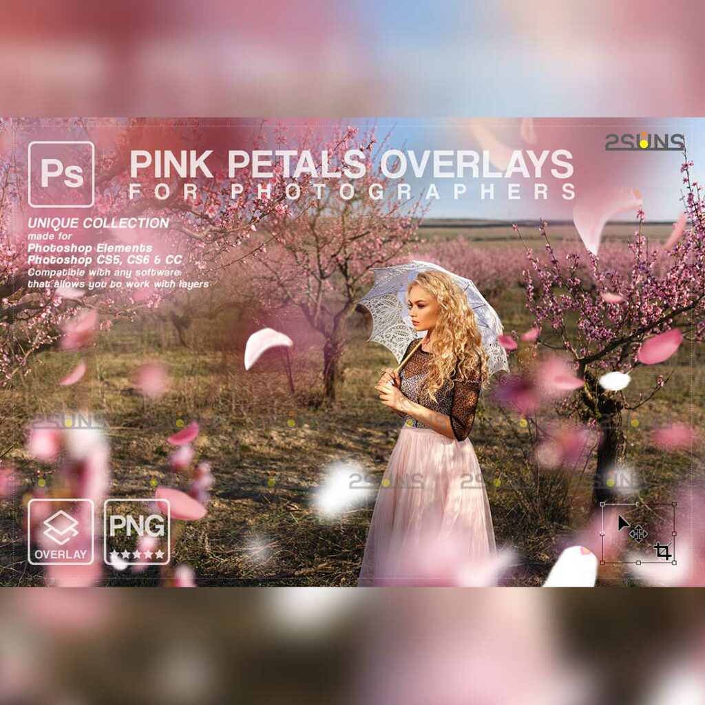 Falling Rose Petals Photo Overlays , Pink petals png - MasterBundles