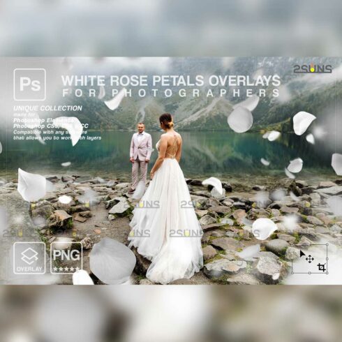 Falling White Rose Petals Photo Overlays Cover Image.