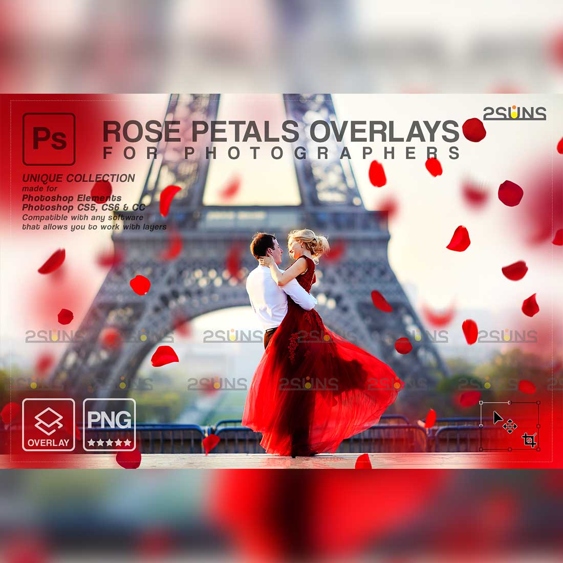 Falling Rose Petals Photo Overlays Cover Image.