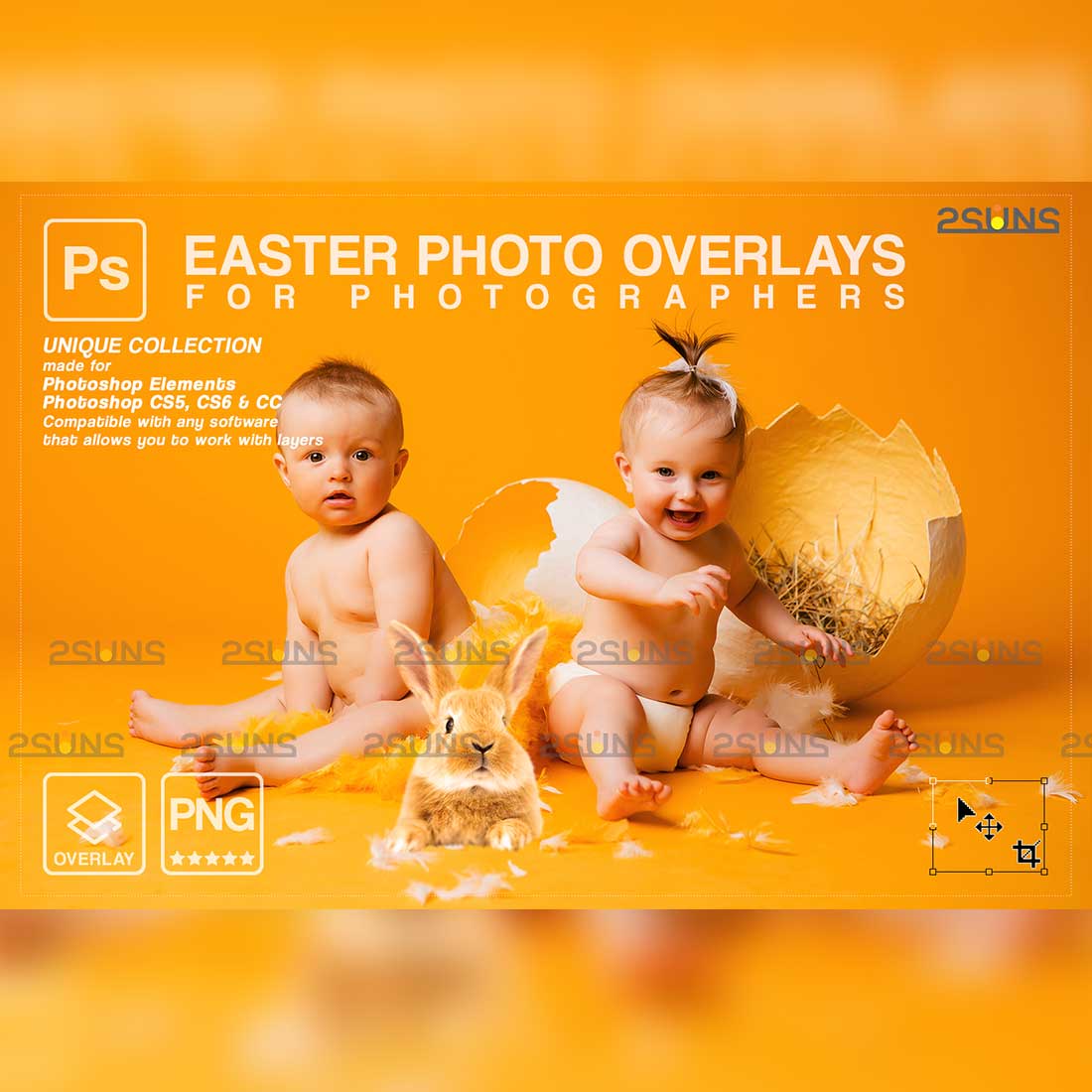 Easter Bunny Modern Photoshop Overlay Cover Image.