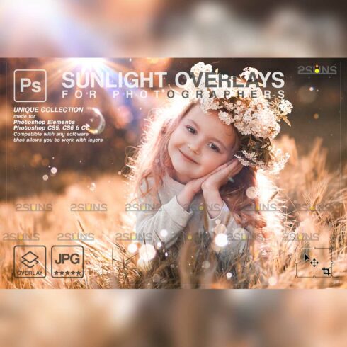 29 Lightbeam Sunlight Photo Overlays cover image
