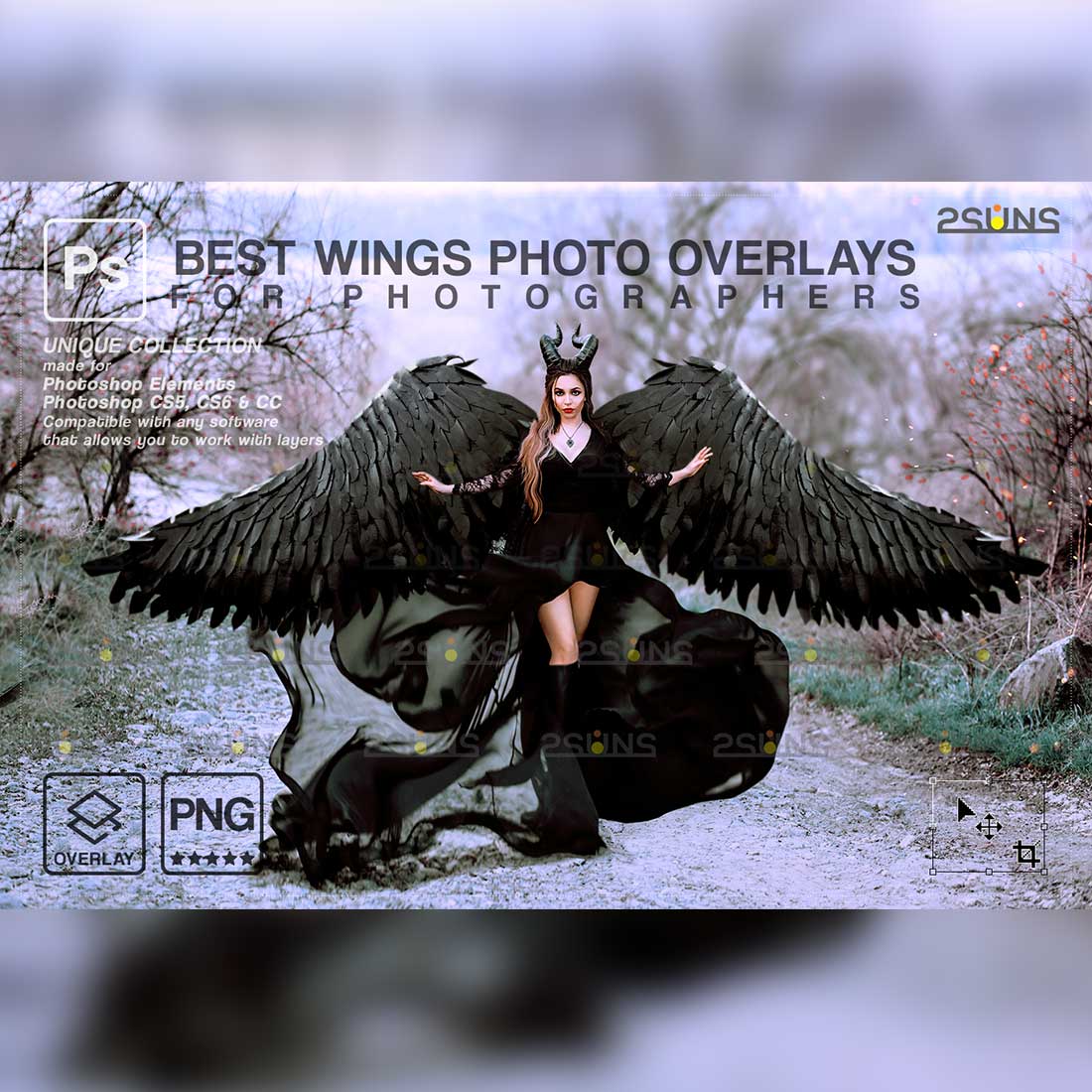 Realistic White Black Gold Angel Wings Photoshop Overlays - MasterBundles
