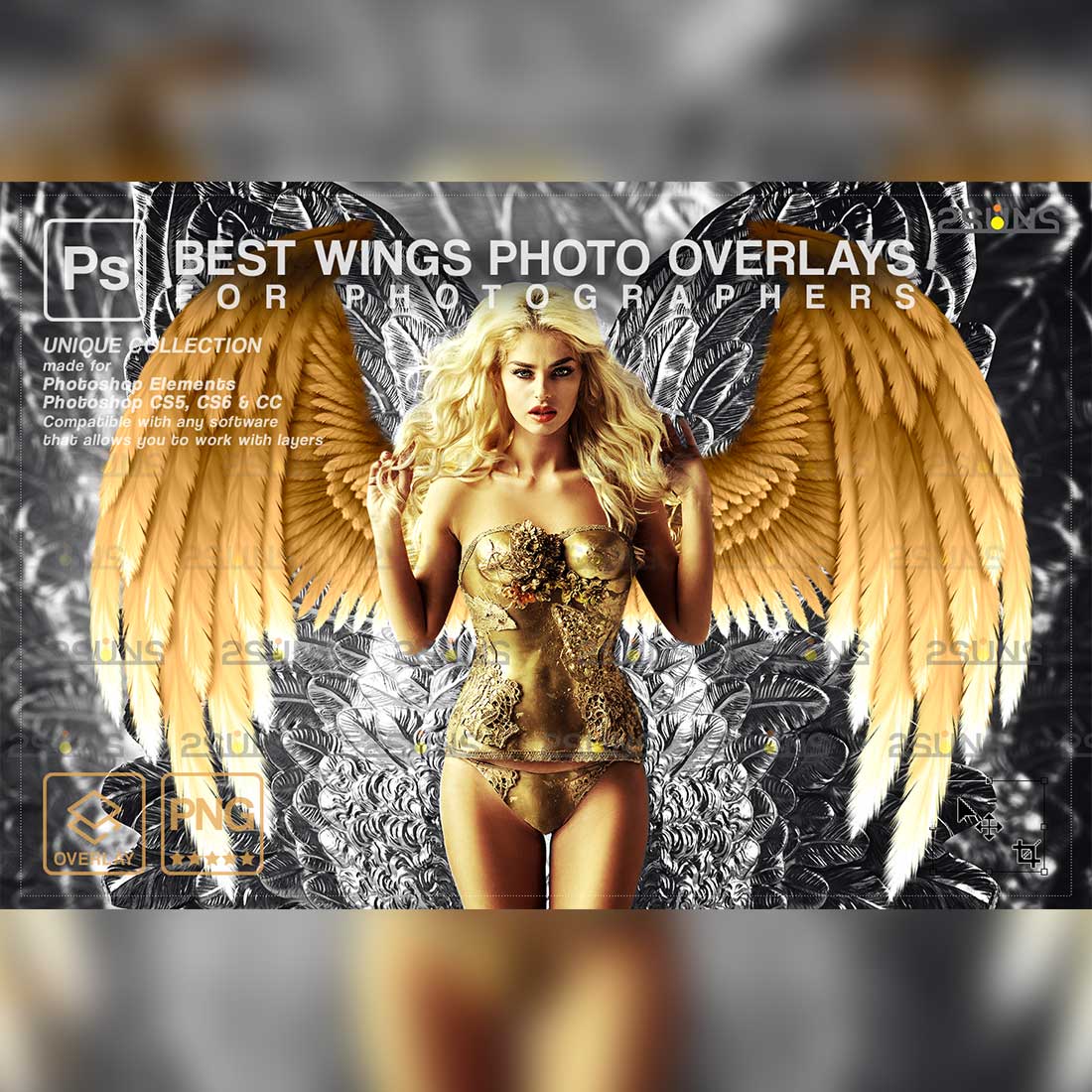 Realistic Black White Gold Angel Wings Photoshop Overlays Cover image.