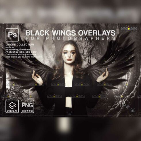 Realistic Black Angel Wings Photoshop Overlays cover image.