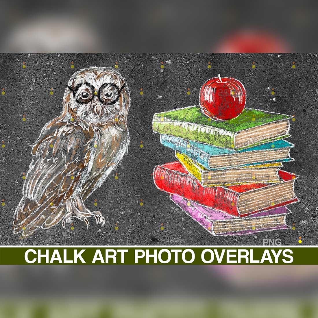 Overlay Graduation Sidewalk Chalk Art owl.