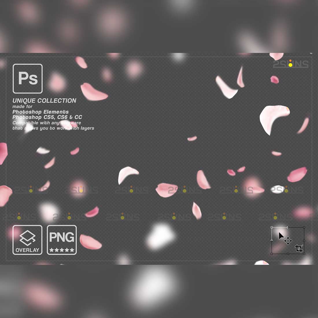 Pink Falling Rose Petals Photo Overlays Preview Image.