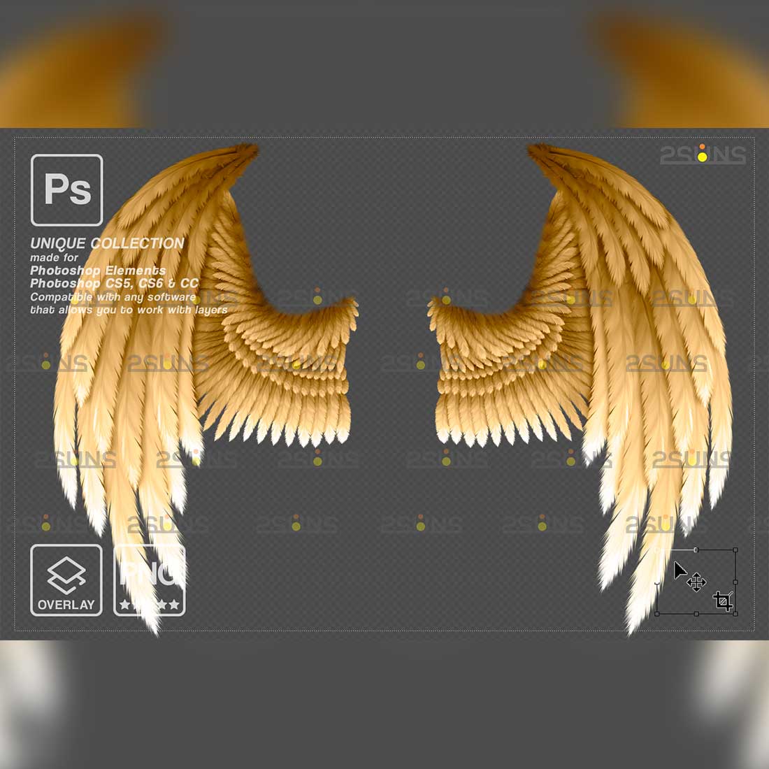 Realistic Black White Gold Angel Wings Photoshop Overlays two wings.