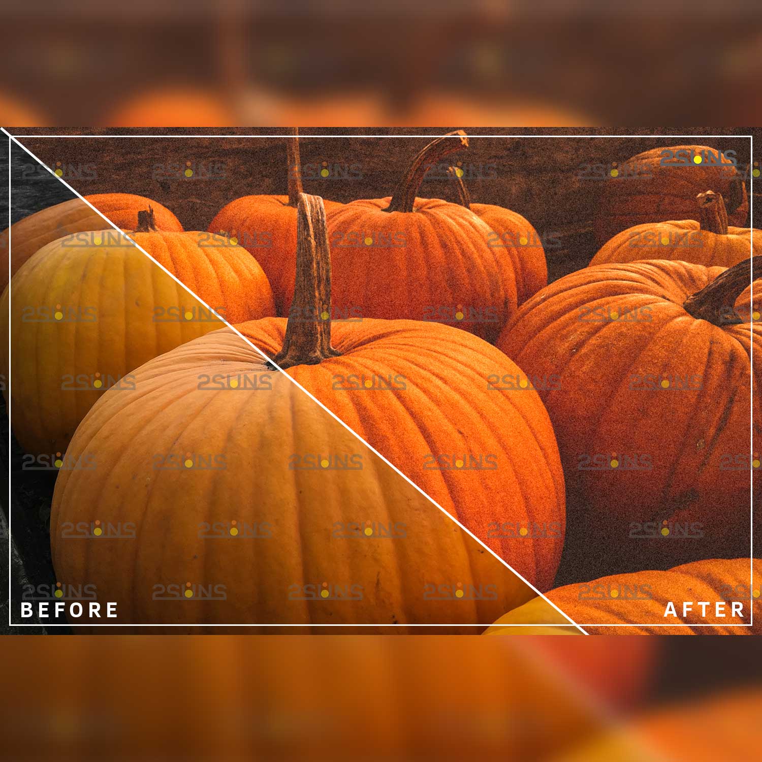 Grainy Halloween Dark Moody Film Lightroom Preset Pumpkin Before And After Example.