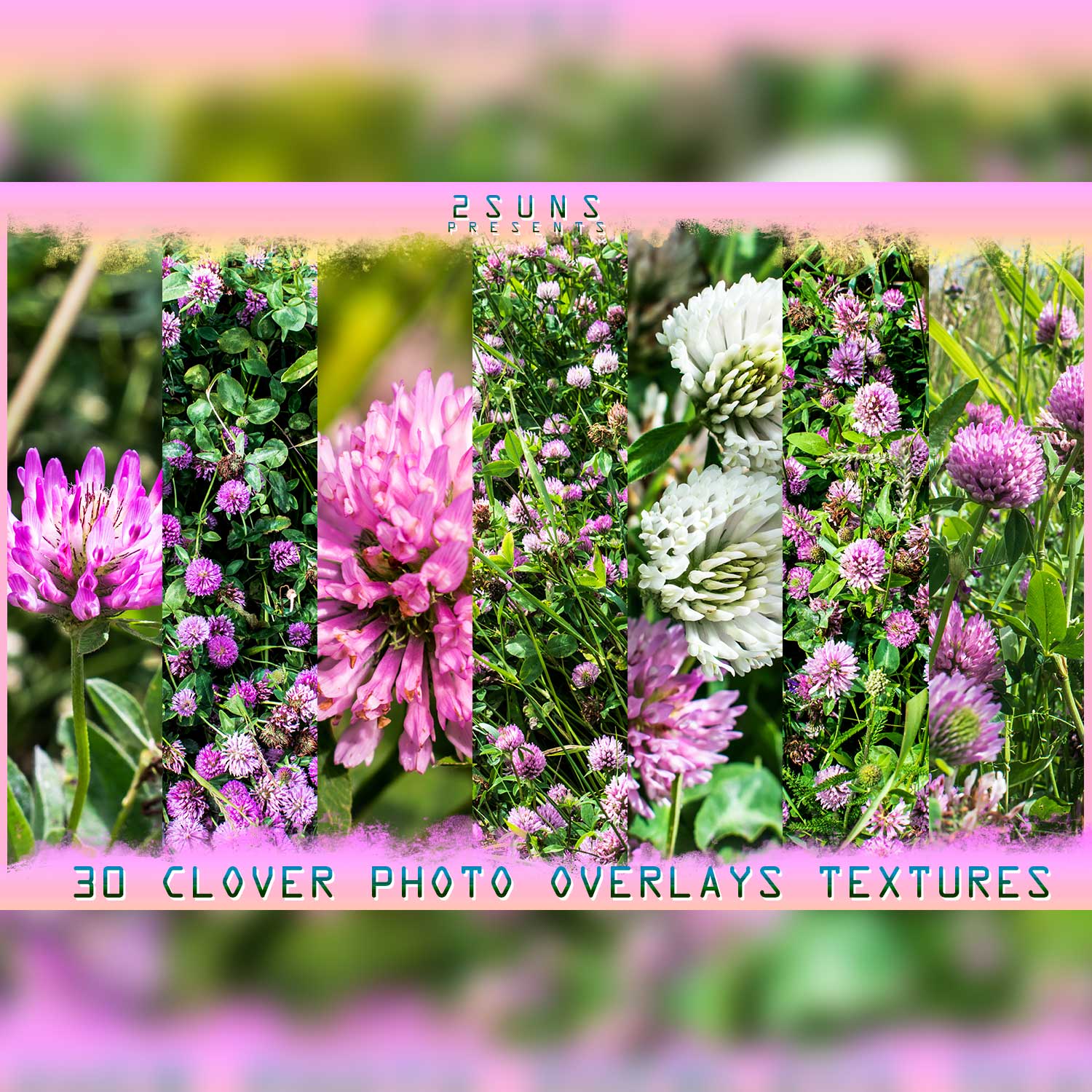 Digital Flower Backdrop Photoshop Overlay.