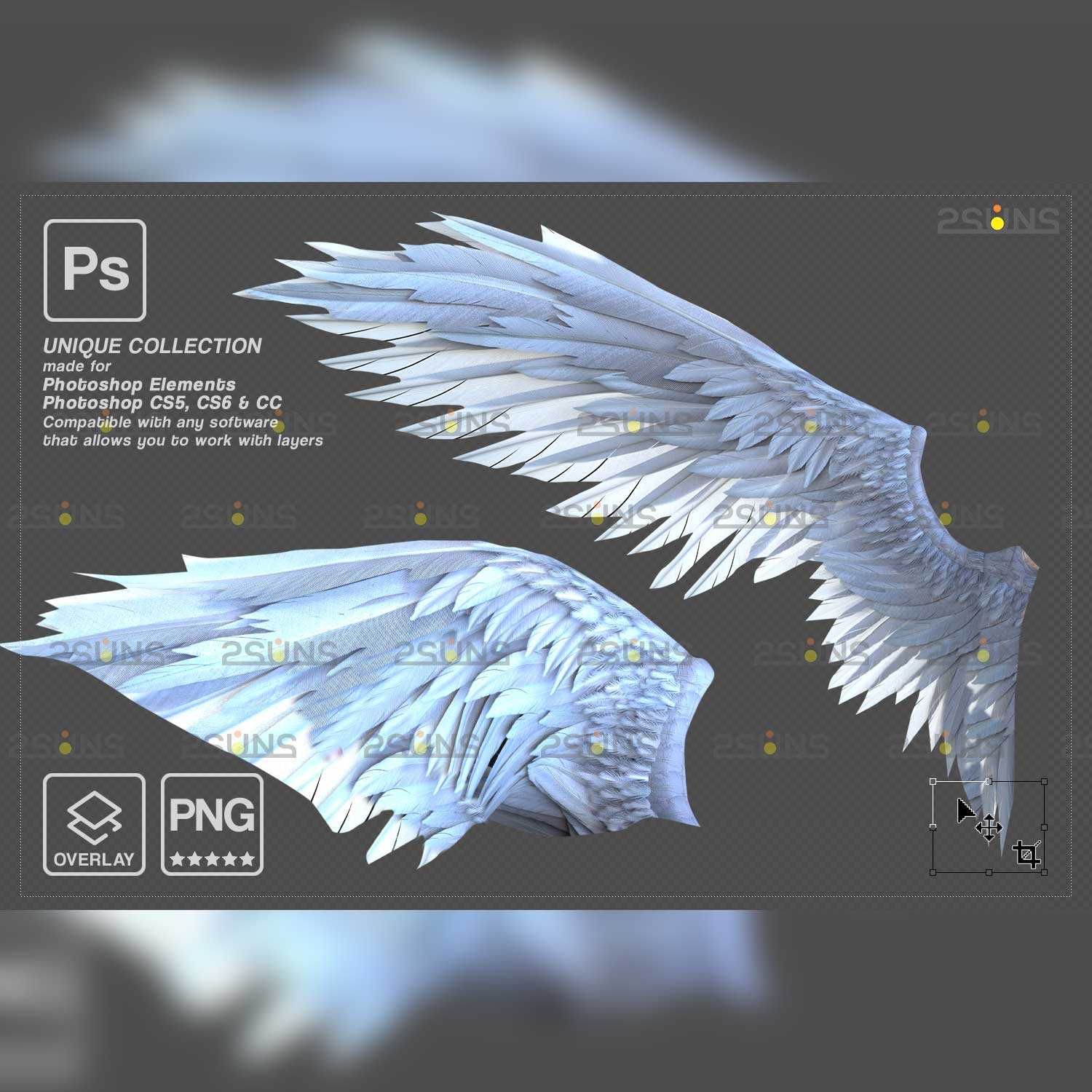 Realistic Black White Gold Angel Wings Photoshop Overlays White wings.