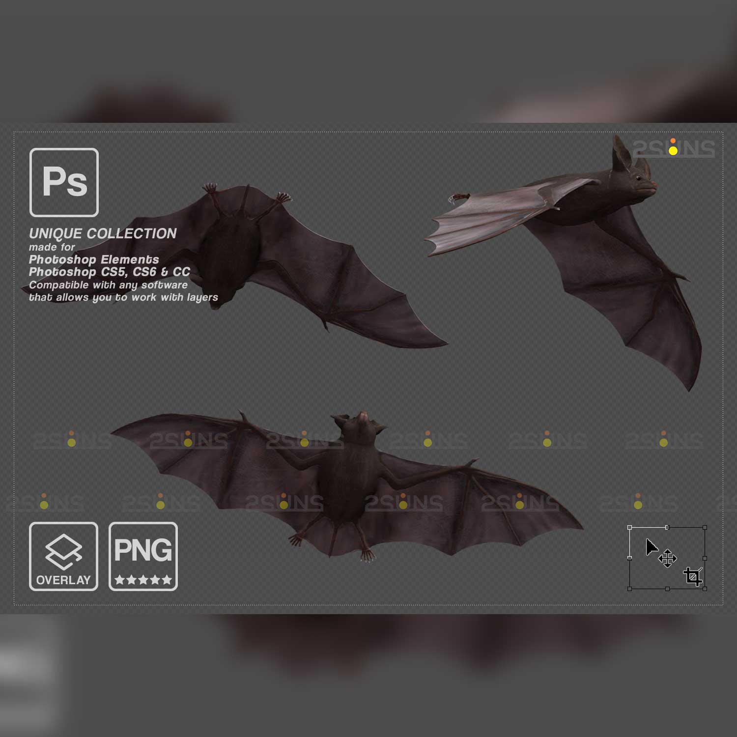 Scary Halloween Bat Overlay.