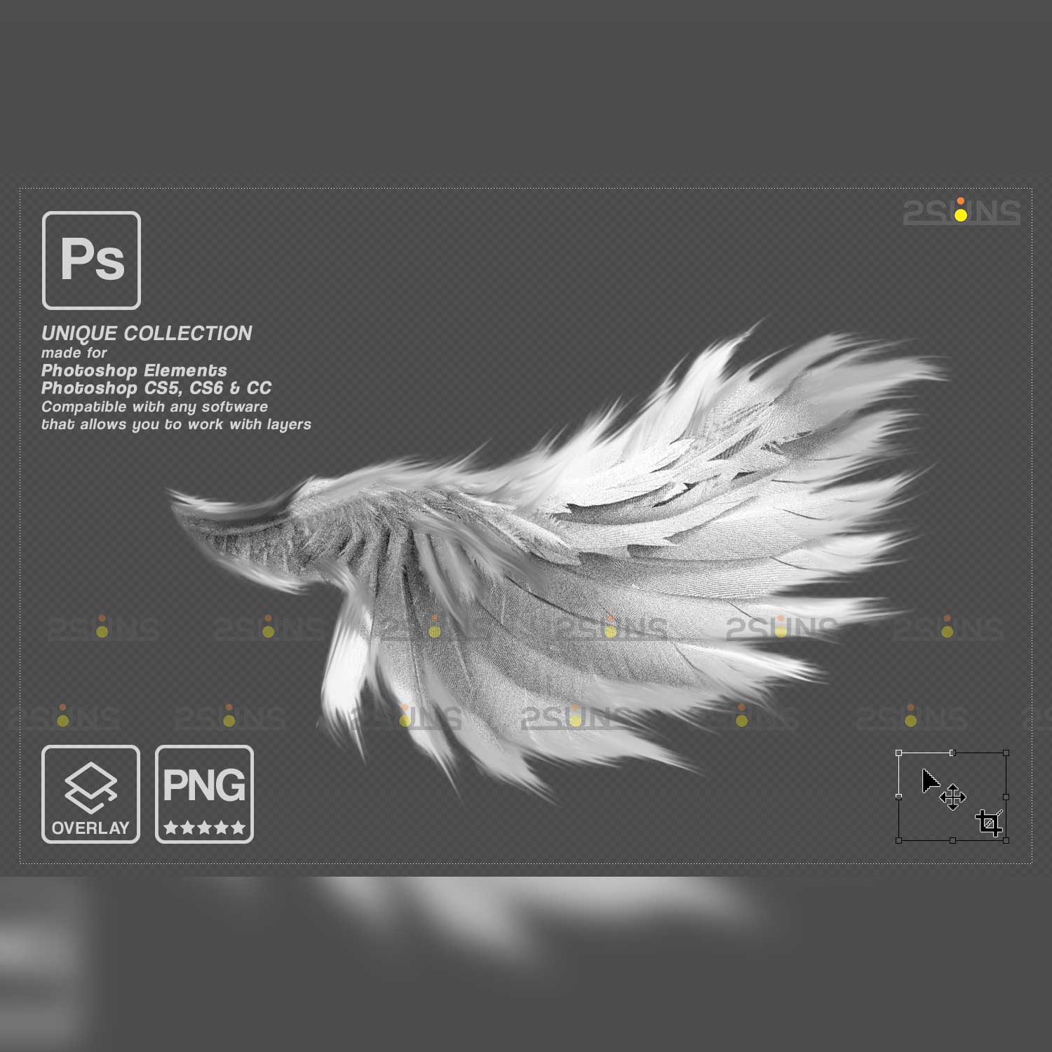 Realistic White Angel Wings Photoshop Overlays white wing example.