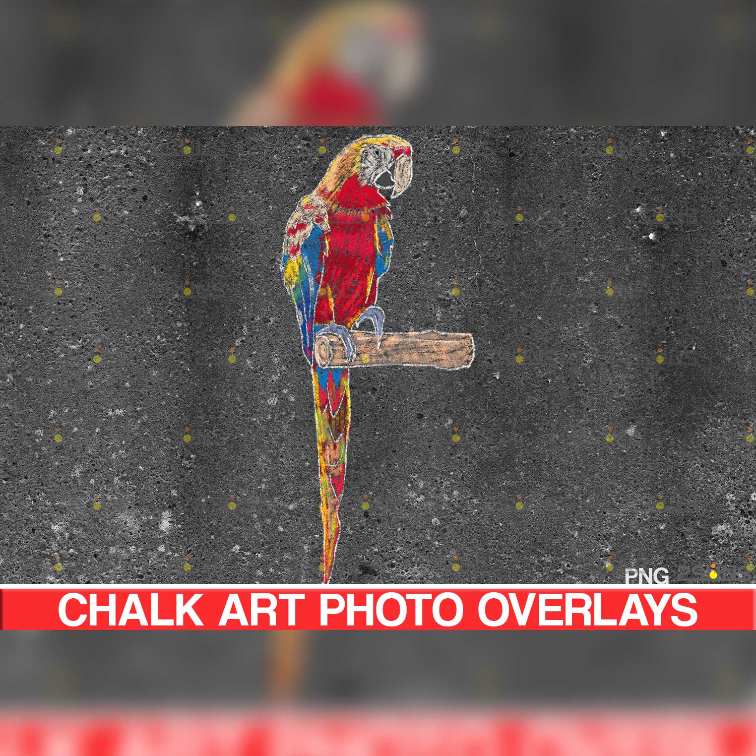 Baby Pirate Backdrop Sidewalk Chalk Art Overlay Parrot.