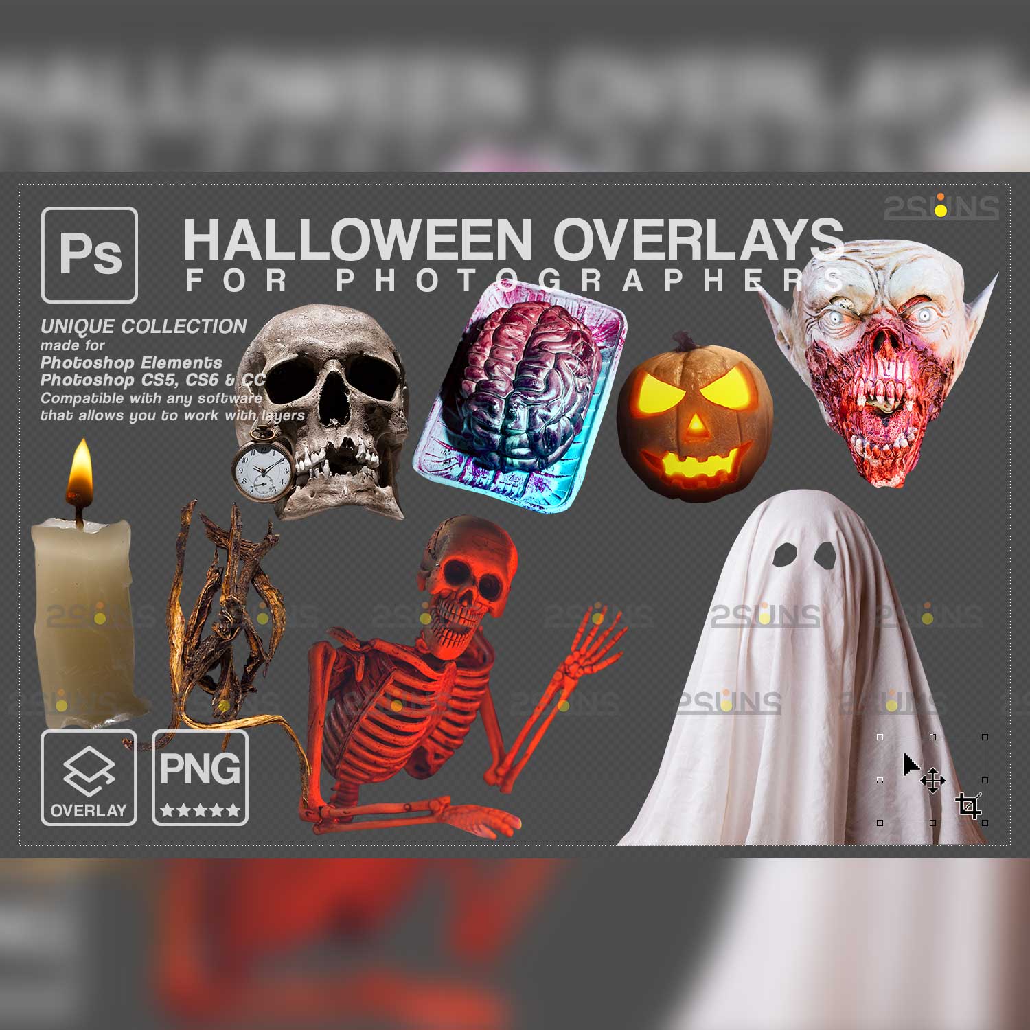 Halloween Digital Backdrop Overlays cover image.
