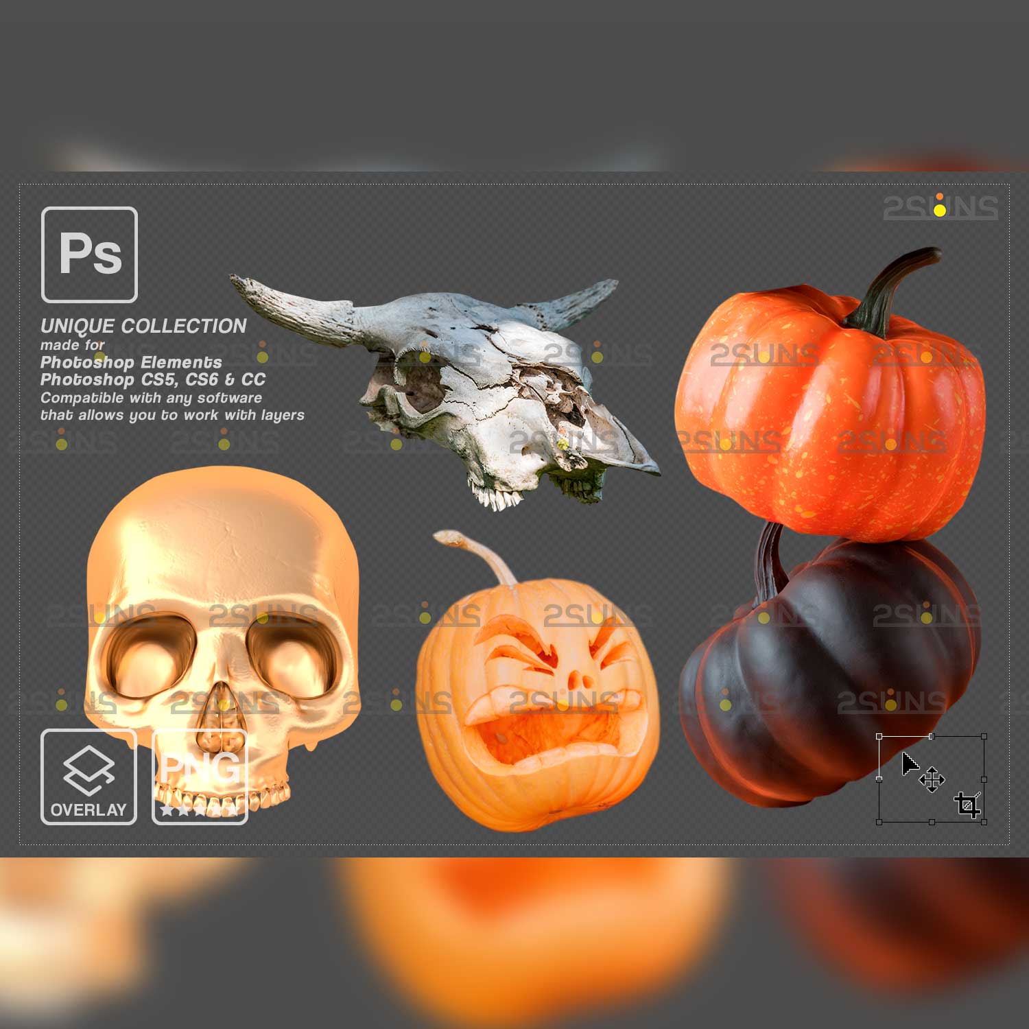 previews.Halloween Witch Photoshop Overlays